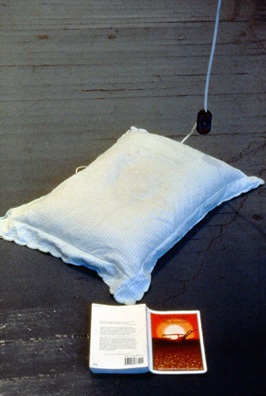 “AT ANY RATE THAT IS HAPPINESS; TO BE DISSOLVED INTO SOMETHING COMPLETE AND GREAT. WHEN IT COMES TO ONE, IT COMES AS NATURALLY AS SLEEP.”— <i>My Antonia</i>, Willa Cather<br />
1992<br />
Plugged in, Functioning Hammacher Schlemmer Sleep Machine Buried in Feathered Pillow, Displayed on Floor with Pillow Case, and a Copy of <i>My Antonia</i>, until Eventually the Feathers Smother the Functioning Sleep Machine<br />
Variable Dimensions <br />
Unique, 1 AP <br />