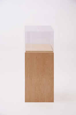 “PAY WHAT YOU WISH BUT YOU MUST PAY SOMETHING”<br />
2013 Ongoing<br />
Floor: One of 18 Functioning American Art Museum Donation Boxes replicated and Displayed at an Art Fair in Various Positions throughout the Fair<br />
Aspen Art Museum<br />
Variable Dimensions<br />