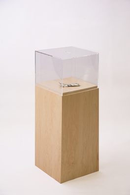 “PAY WHAT YOU WISH BUT YOU MUST PAY SOMETHING”<br />
2013 Ongoing<br />
Floor: One of 18 Functioning American Art Museum Donation Boxes replicated and Displayed at an Art Fair in Various Positions throughout the Fair<br />
Aspen Art Museum<br />
Variable Dimensions<br />
