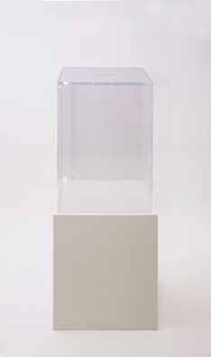 “PAY WHAT YOU WISH BUT YOU MUST PAY SOMETHING”<br />
2013 Ongoing<br />
Floor: One of 18 Functioning American Art Museum Donation Boxes replicated and Displayed at an Art Fair in Various Positions throughout the Fair<br />
Museum of Contemporary Art Denver<br />
Variable Dimensions<br />