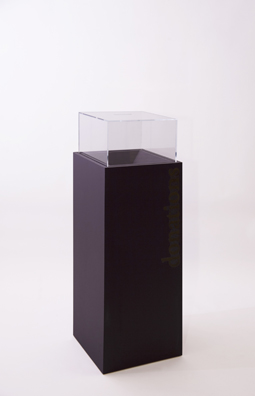 “PAY WHAT YOU WISH BUT YOU MUST PAY SOMETHING”<br />
2013 Ongoing<br />
Floor: One of 18 Functioning American Art Museum Donation Boxes replicated and Displayed at an Art Fair in Various Positions throughout the Fair<br />
The Nelson-Atkins Museum of Art<br />
Variable Dimensions<br />