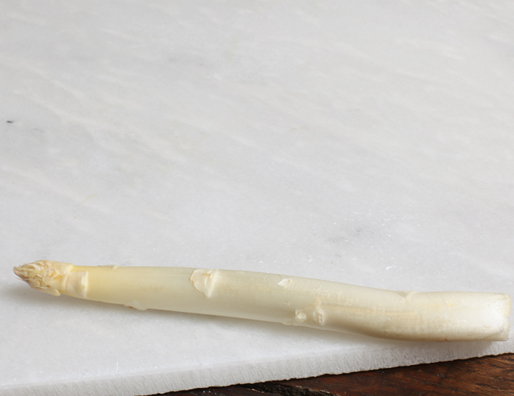 THANK YOU<br />
2013 ongoing<br />
C-Print of a Single Spear of Asparagus Arranged to Replicate the Painting that Edouard Manet Painted and Gave to the Collector Charles Ephrussi as Thanks for the Painting, “A Bunch of Asparagus” that He Collected<br />
6 1/2 in x 8 15/32 in<br />