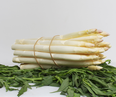 THANK YOU<br />
2013 ongoing<br />
C-Print of a Bunch Spear of Asparagus Arranged to Replicate the Painting that Edouard Manet Painted for the Collector Charles Ephrussi, and for which Ephrussi Overpaid Manet 200 Hundred Francs: Manet Painted the Companion Painting, “The Asparagus” as a Gesture of Gratuity<br />
18 1/16 in x 21 5/8 in<br />