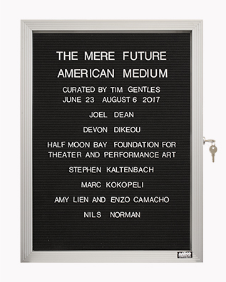 “WHAT'S LOVE GOT TO DO WITH IT?”<br />
The Mere Future<br />
1991: Ongoing<br />
Lobby Directory Board Listing Artists, Gallery, Curators, Exhibition Titles, Dates Replicating the Lobby Directory Board at 420 West Broadway<br />
(Series Initialized for the 1st Group Show in which the Artist Exhibited, and Made for Every Group Show Thereafter)<br />
18” x 24”<br />