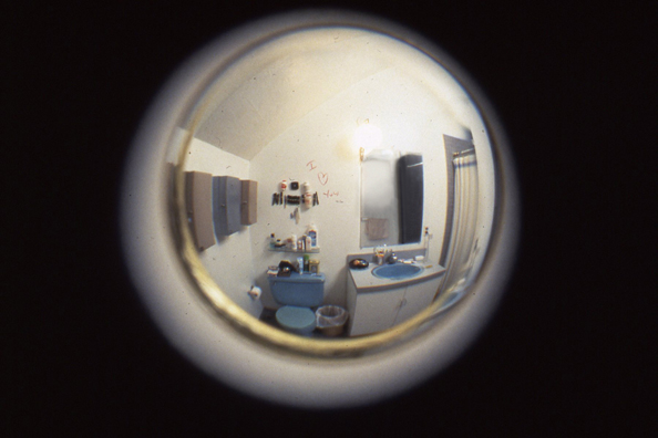 PEEP <br/>
1991 Ongoing <br/>
Detail: Peephole View Inside Ballroom<br/>
Functioning Backward Peephole Installed for Viewing Private Bathroom from Outside the Bathroom<br/>
2” in Diameter <br/>