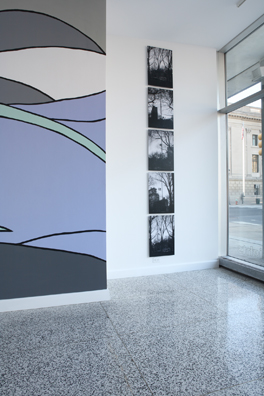 MARILYN MONROE WANTED TO BE BURIED IN PUCCI <br />
2008 Ongoing <br />
Detail: White Wall <br />
5 (DiMaggio's Yankee Number) Black & White Cibachromes of the Flag at Half Mast the Day Joe DiMaggio Died <br />
Mounted in Aluminum with Non-Glare Plexiglas, Installed Vertically<br/>
15” x 23” Each<br />
Edition: 2, 1 AP<br />
Detail: Patterned Wall<br />
Pucci Dress Pattern Installed on a Wall Mural<br />