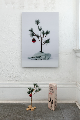 A VERY NINEY CHRISTMAS<br />
2007<br />Wall: C-Print of Niney at Base of Linus Christmas Tree Floor: Relic of Charlie Brown Christmas Tree<br />
C-Print 30 x 20 inches