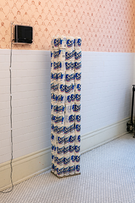 ENTERTAINING IS FUN—DOROTHY DRAPER<br />
2008 Ongoing<br />
156 Scott Toilet Paper Rolls, Unrolled to a Diameter of 2.83”, Placed in a Grid of 12 that Fills an 8 1⁄2 x 11 (A4) Base, and Stacked to Attain the Height of the Artist.<br />
8 1/2 x 11 x 62 inches 