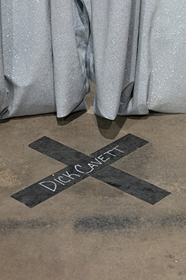 BETWEEN THE ACTS (VIRGINIA WOOLF): DICK CAVETT<br />
2014 Ongoing<br />Variable Dimensions