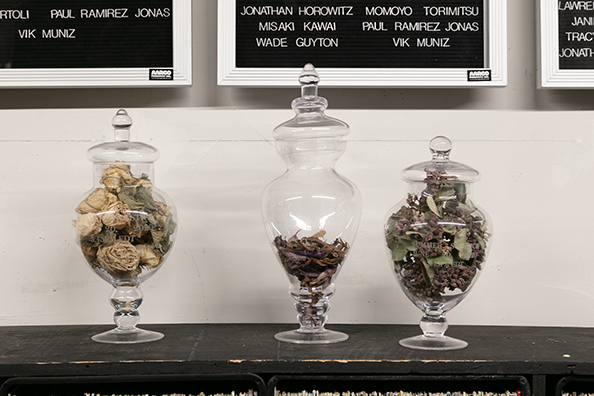 DONATION JARS: Summer<br />
2020 Ongoing<br />14 Glass Apothecary Jars Containing Dried Remains of the Four 2020 Seasonal “Donation” Flower Installments<br />
Variable Dimensions