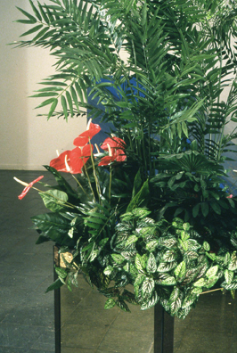 CAJOLE: TROPICAL PARADISE <br /> 
1992 Ongoing <br /> 
Artificial Flowers and Plants, Plant Identification Sign, Mirrored Planter Replicating Mall Ambiance <br />
3' x 3' x 8' <br />
Unique, 2 AP′S<br />