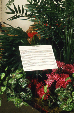 CAJOLE: TROPICAL PARADISE <br /> 
1992 Ongoing <br />
Detail: Posterior View <br /> 
Artificial Flowers and Plants, Plant Identification Sign, Mirrored Planter Replicating Mall Ambiance <br />
3' x 3' x 8' <br />
Unique, 2 AP′S<br />