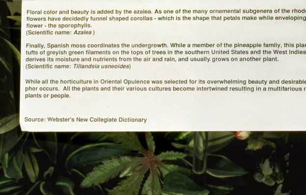 CAJOLE: TROPICAL PARADISE <br /> 
1992 Ongoing <br />
Detail: Plant Identification Sign <br /> 
Artificial Flowers and Plants, Plant Identification Sign, Mirrored Planter Replicating Mall Ambiance <br />
3' x 3' x 8' <br />
Unique, 2 AP′S<br />