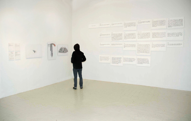 THE NINEY CHRONICLES <br />
2007 ongoing <br />
Installation View: Niney: Carbon Dating, Niney: La Boheme, Niney: Hospital, The Niney Timeline with Kiyoto Koseki Looking on <br />
Variable Dimensions <br />