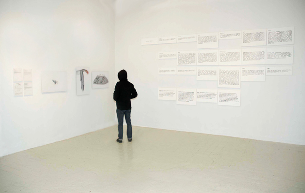 THE NINEY CHRONICLES <br />
2007 ongoing <br />
Installation View: Niney: Carbon Dating, Niney: La Boheme, Niney: Hospital, The Niney Timeline with Kiyoto Koseki Looking on <br />
Variable Dimensions <br />