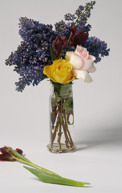 PLEASE SEPT<br />
(ROSES, TULIPES ET LILAS DANS UN VASE DE CRISTAL)<br />
2011 Ongoing<br />
C-Print of a Hand Blown Glass Vase and Fresh Flowers Arranged to Replicate<br />
One of the 16 Last Paintings Edouard Manet Painted Before Dying<br />
21 1/4” x 13 3/8”<br />