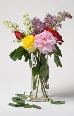 PLEASE HUIT<br />
(VASE DE FLEURS, ROSES ET LILAS)<br />
2011 Ongoing<br />
C-Print of a Hand Blown Glass Vase and Fresh Flowers Arranged to Replicate<br />
One of the 16 Last Paintings Edouard Manet Painted Before Dying<br />
21 5/8” x 13 3/4”<br />