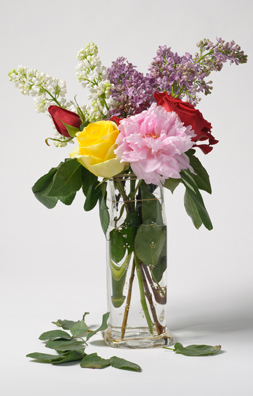 PLEASE HUIT<br />
(VASE DE FLEURS, ROSES ET LILAS)<br />
2011 Ongoing<br />
C-Print of a Hand Blown Glass Vase and Fresh Flowers Arranged to Replicate<br />
One of the 16 Last Paintings Edouard Manet Painted Before Dying<br />
21 5/8” x 13 3/4”<br />