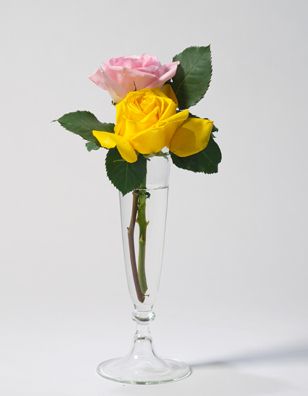 PLEASE UN<br />
(ROSES DANS UN VERRE A CHAMPAGNE)<br />
2011 Ongoing<br />
C-Print of a Hand Blown Glass Vase and Fresh Flowers Arranged to Replicate<br />
One of the 16 Last Paintings Edouard Manet Painted Before Dying<br />
12 3/16” x 9 7/16” <br />