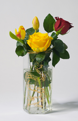 PLEASE TREIZE<br />
(FLEURS DANS UN VASE)<br />
2011 Ongoing<br />
C-Print of a Hand Blown Glass Vase and Fresh Flowers Arranged to Replicate<br />
One of the 16 Last Paintings Edouard Manet Painted Before Dying<br />
22” x 14 1/8”<br />