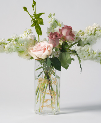 PLEASE QUINZE<br />
(LILAS BLANCS DANS UN VASE DE VERRE)<br />
2011 Ongoing<br />
C-Print of a Hand Blown Glass Vase and Fresh Flowers Arranged to Replicate<br />
One of the 16 Last Paintings Edouard Manet Painted Before Dying<br />
22” x 18 1/8”<br />